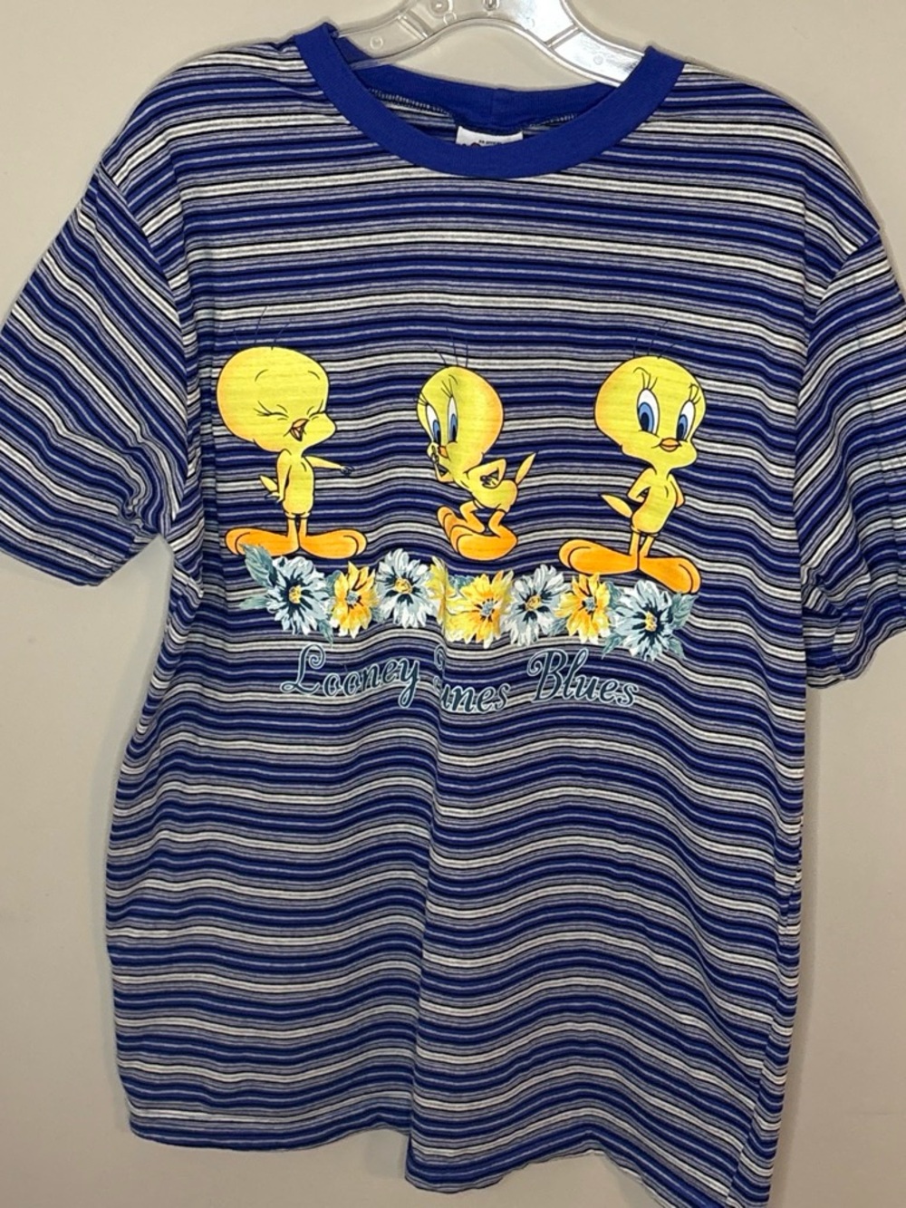 Warner Bros. Tweety Striped Tee in Blue & Yellow